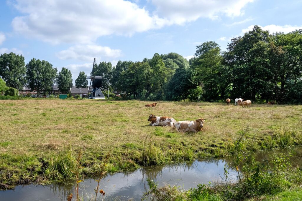 verspronckweg 158, haarlem – foto 12