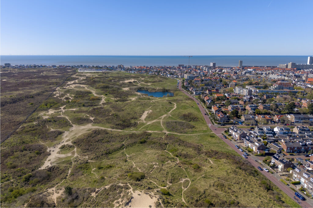 frans zwaanstraat 38, zandvoort – foto 51