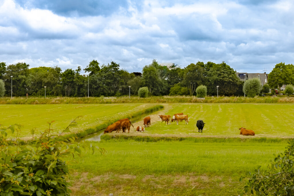slaperdijkweg 64, haarlem – foto 32
