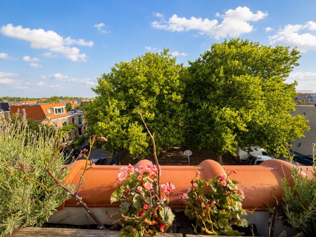gedempte schalk burgergracht 42, haarlem – foto 23