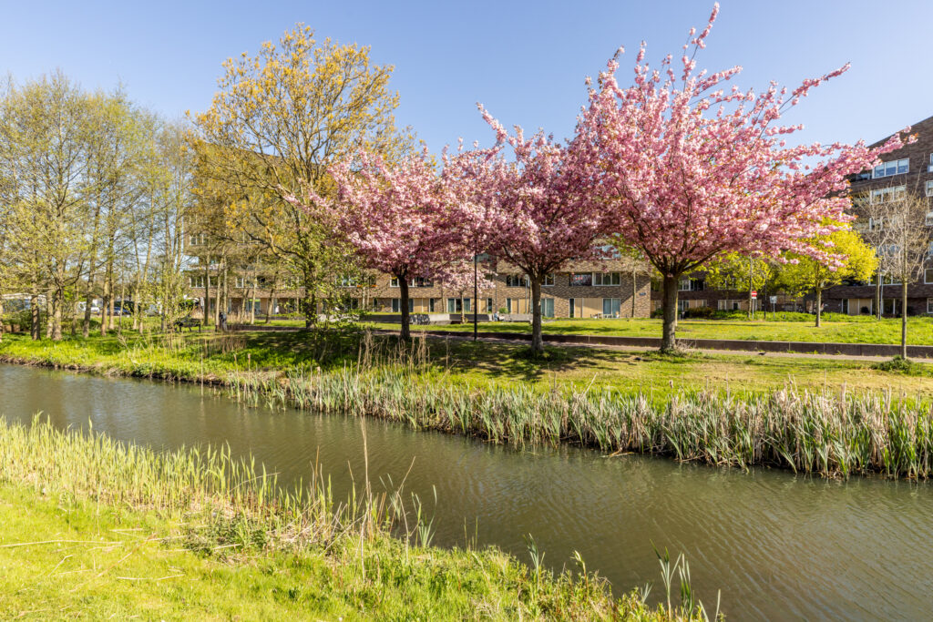 p.c. boutensstraat 189, haarlem – foto 29