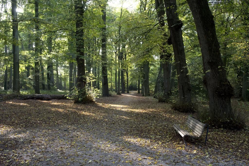 wagenweg 166b, haarlem – foto 33