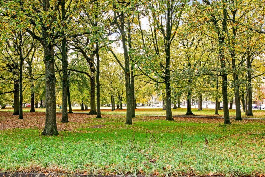 wagenweg 166b, haarlem – foto 35