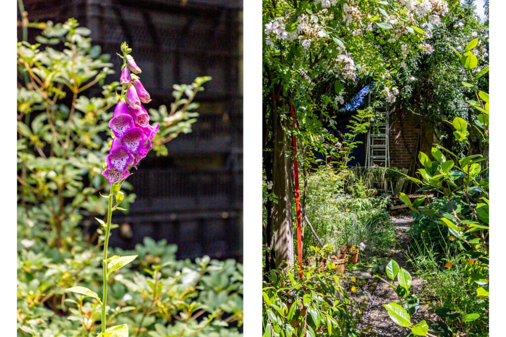 kleine houtweg 29, haarlem – foto 39
