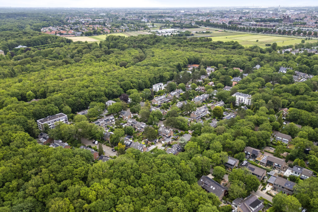 kolonel clarklaan 3, aerdenhout – foto 39