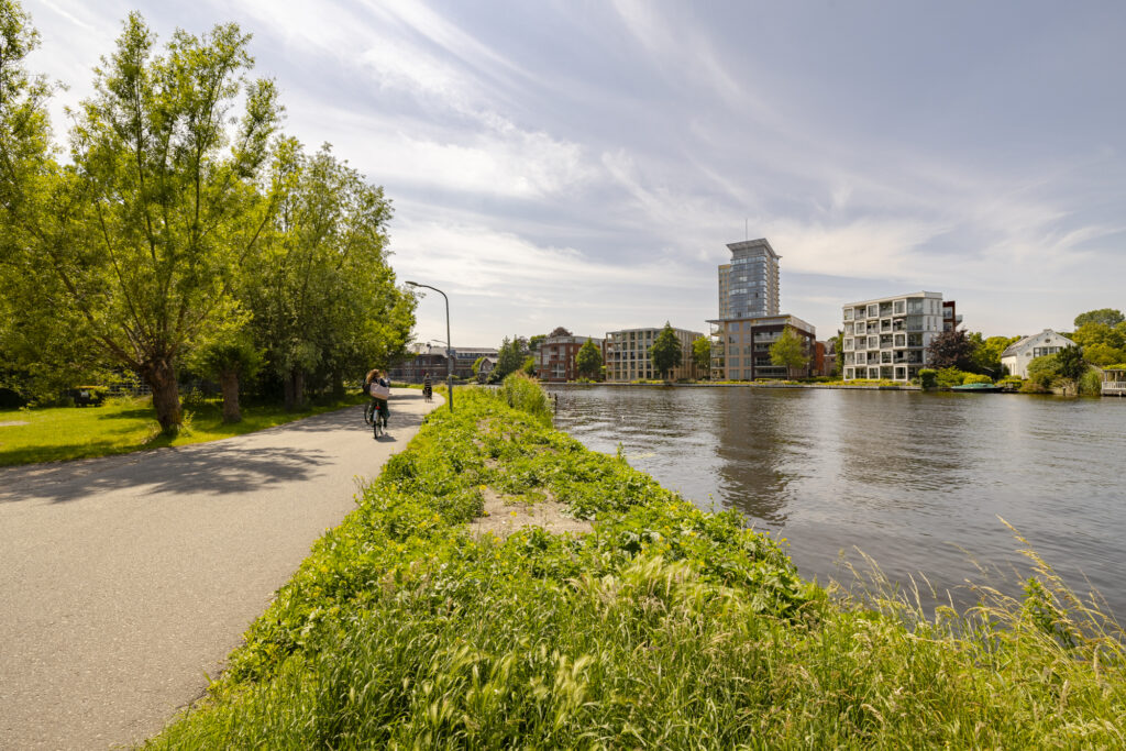eendenkooistraat 6, haarlem – foto 66