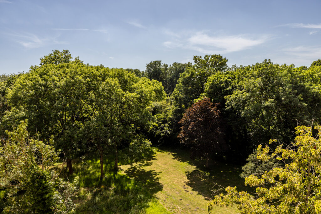 engelandlaan 960, haarlem – foto 25