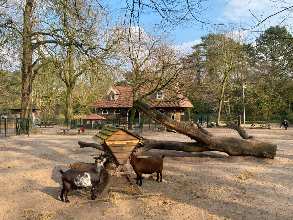 heemsteedse dreef 41, heemstede – foto 9