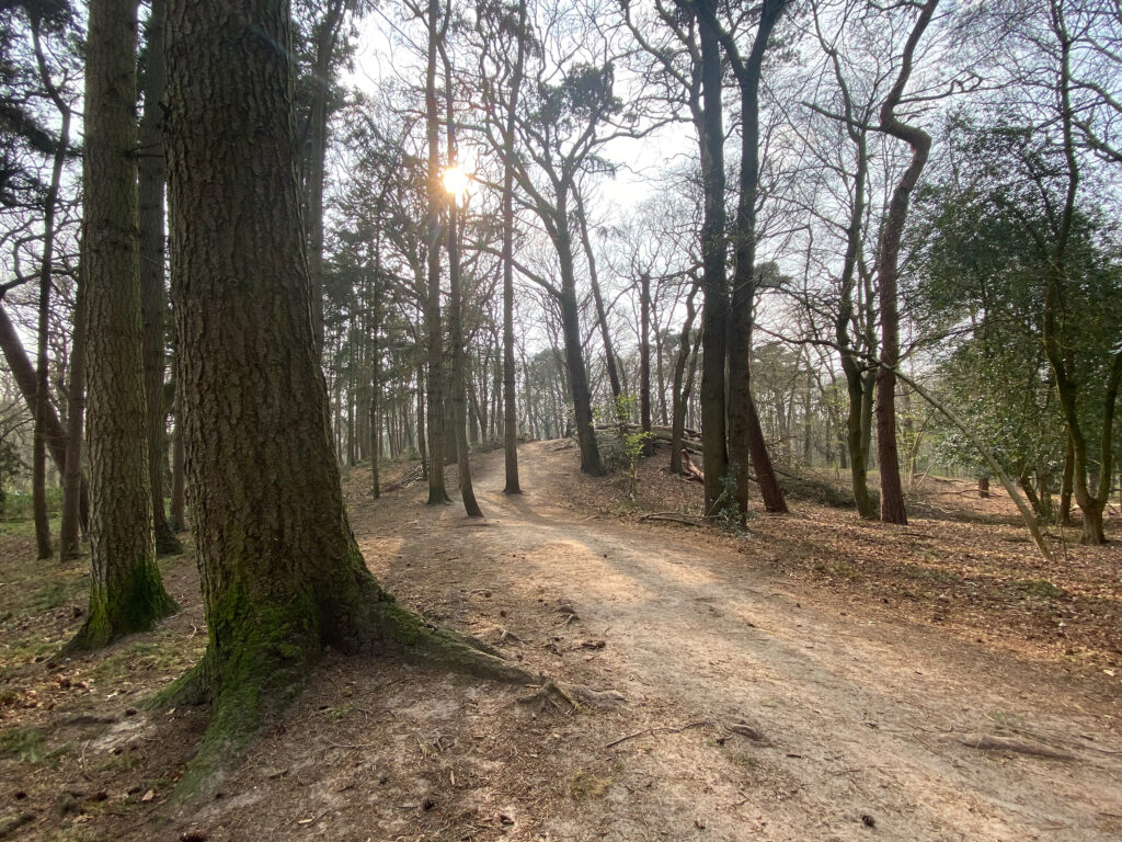 heemsteedse dreef 41, heemstede – foto 20