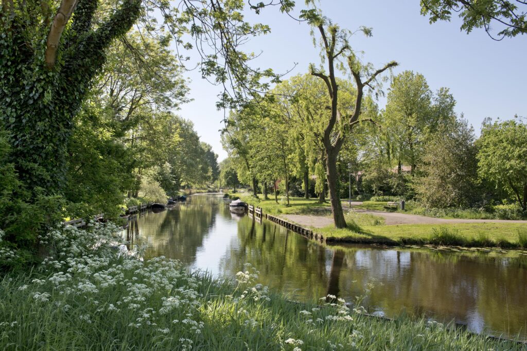 els van roodenstraat 54, haarlem – foto 10