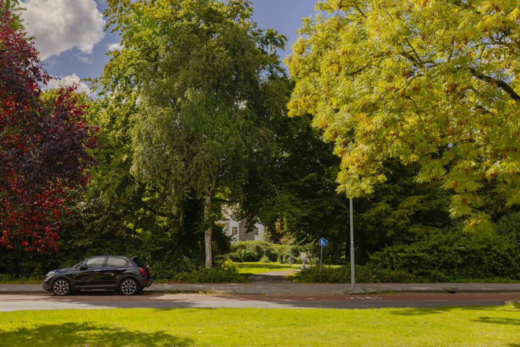 Black car parked by leafy trees in sunlight.