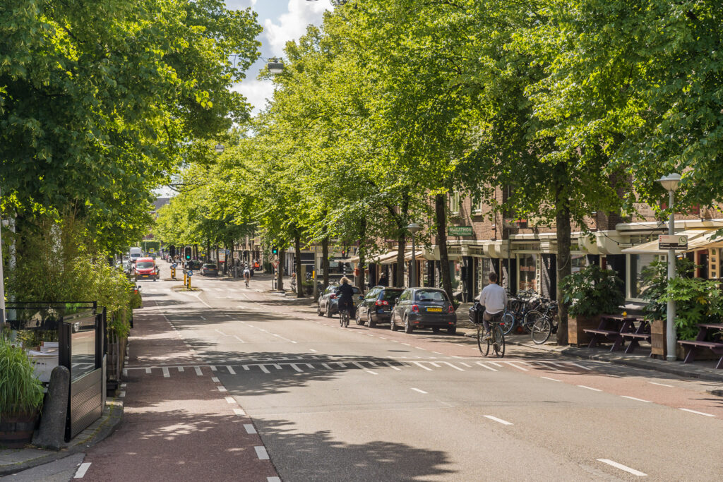 Tree-lined urban street with cyclists and cars