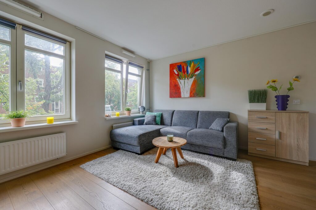 Modern living room with gray sofa and artwork.