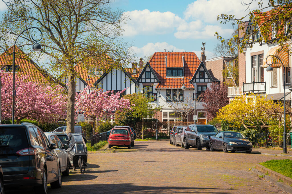 Street with blooming trees and parked cars