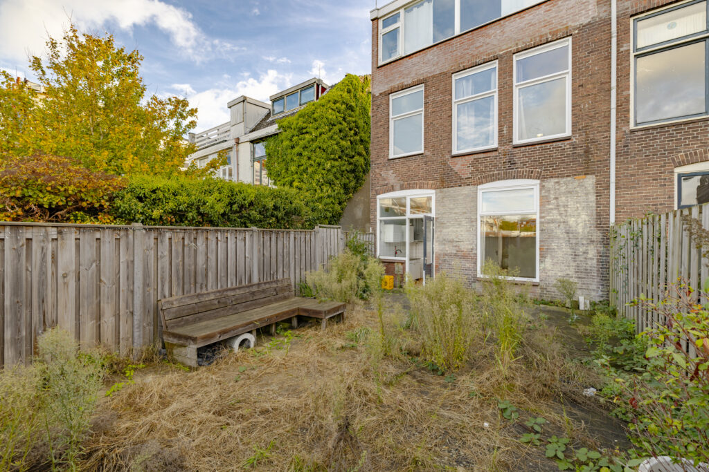 Overgrown backyard with wooden bench and brick building.