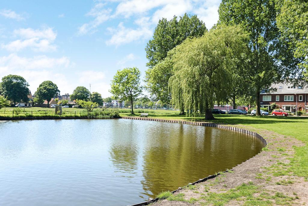 Tranquil pond with trees and houses nearby.