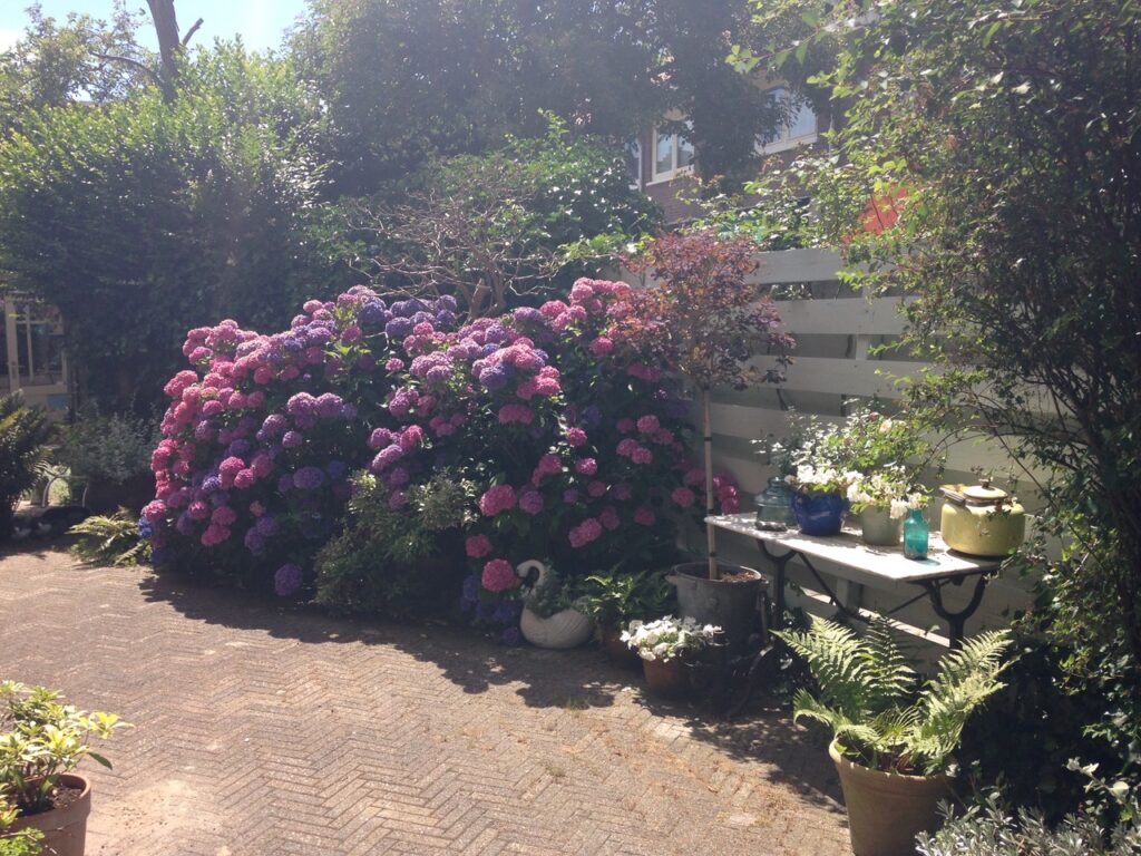 kleverlaan 156, haarlem – foto 27