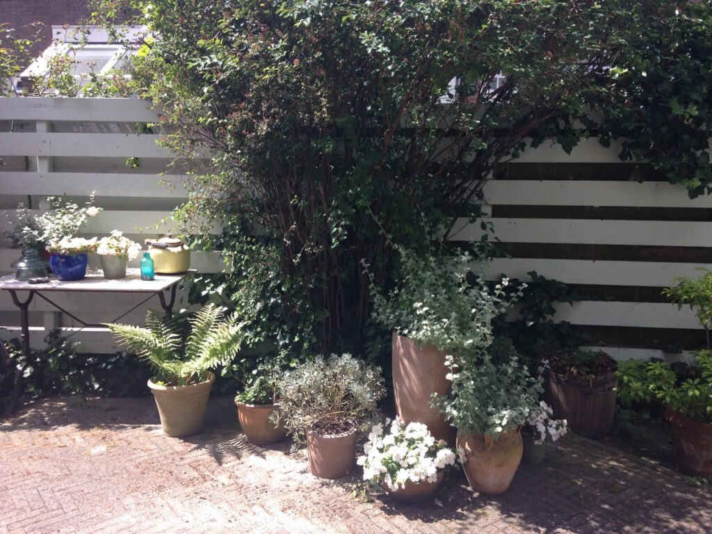 kleverlaan 156, haarlem – foto 19