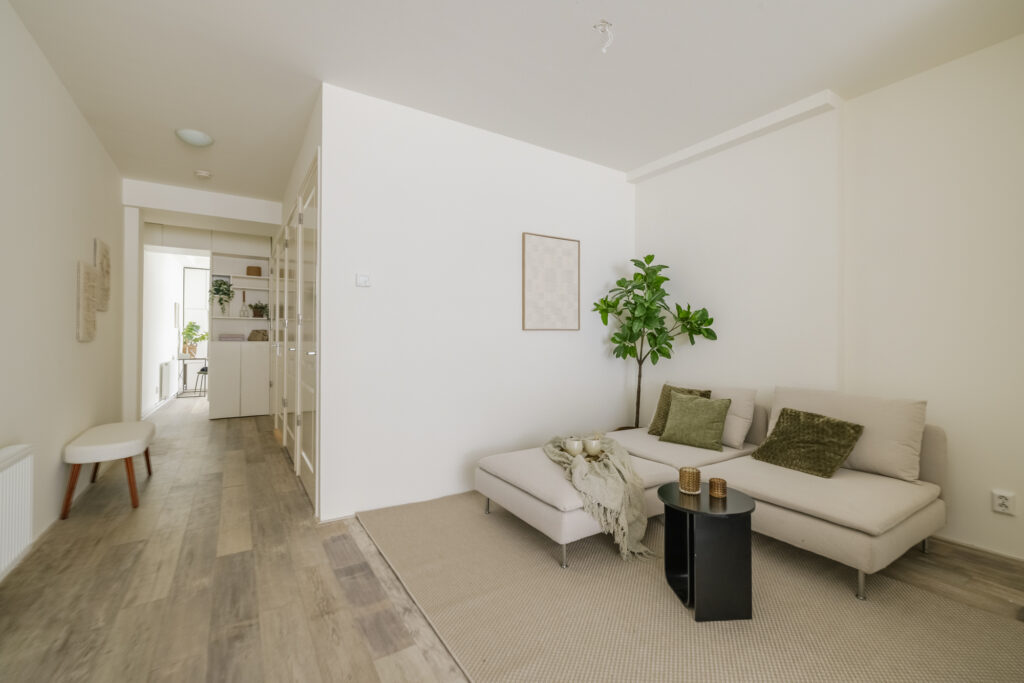 Minimalist living room with beige sofa and plant.