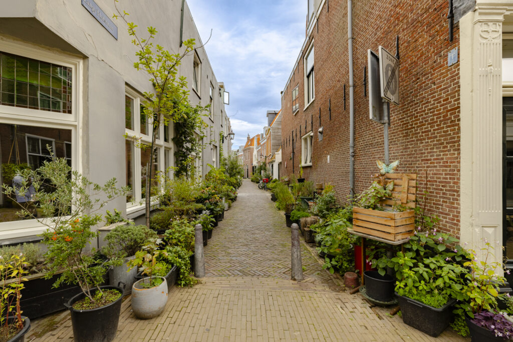 Narrow alleyway with potted plants on sidewalks.