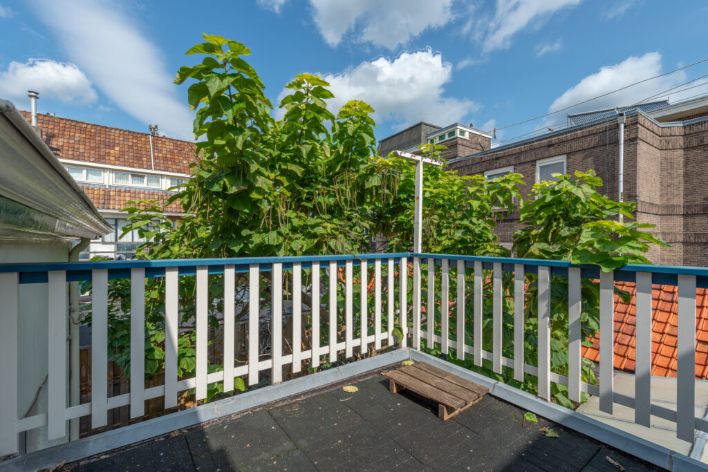 Urban rooftop with plants and wooden fence