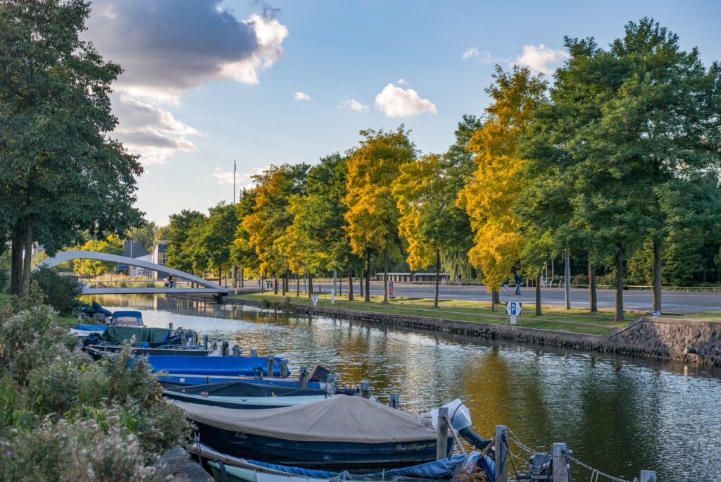 Boats docked along a tree-lined canal.