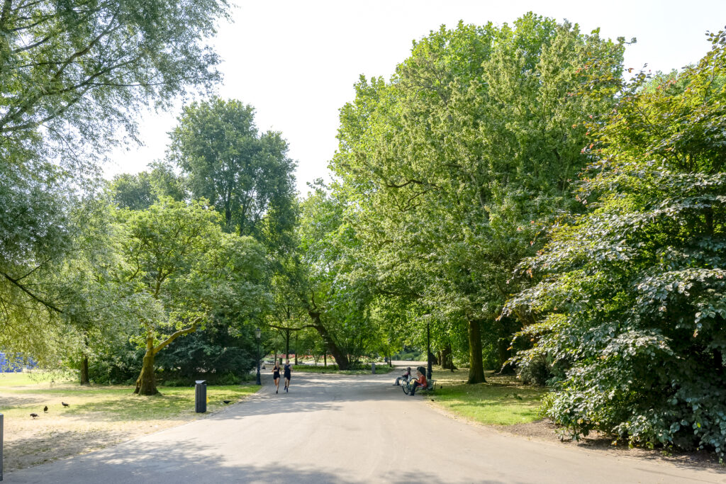 People walking on a sunny park pathway.