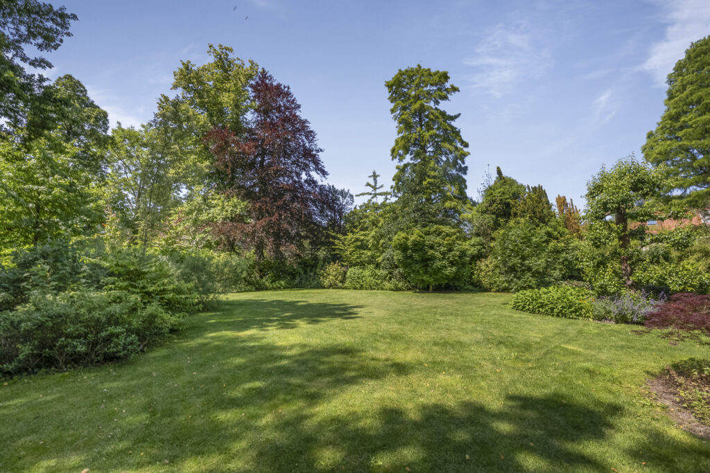 Lush garden with trees under blue sky.
