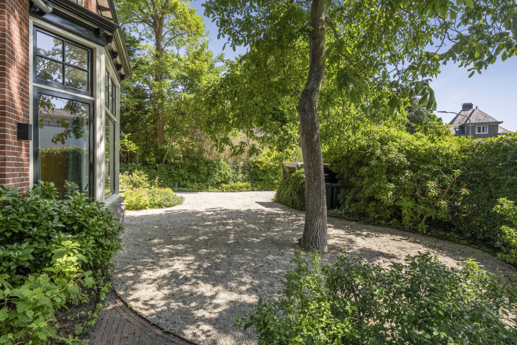 Shaded garden path beside house with tree.