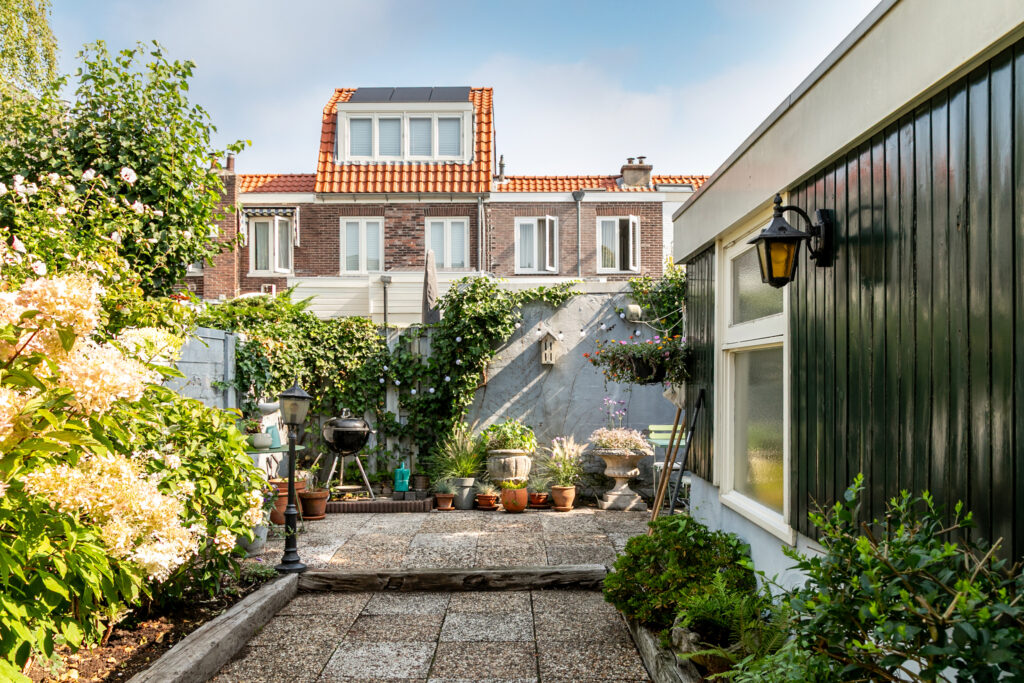 Cozy backyard with plants and patio area.