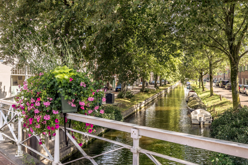 Canal with boats and flowers on a sunny day.