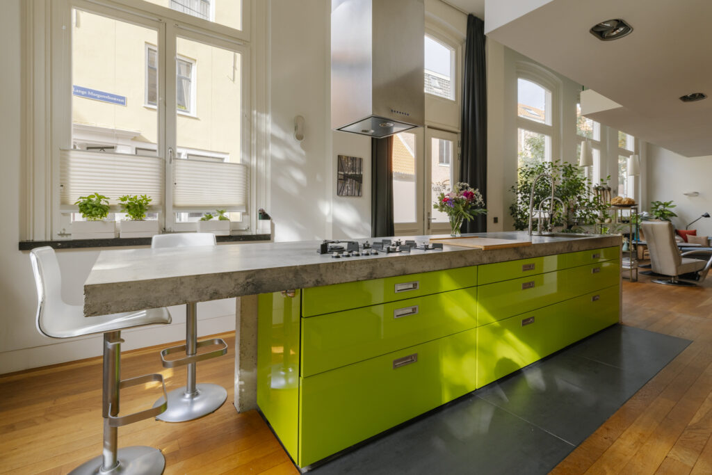 Modern kitchen with green cabinets and plants