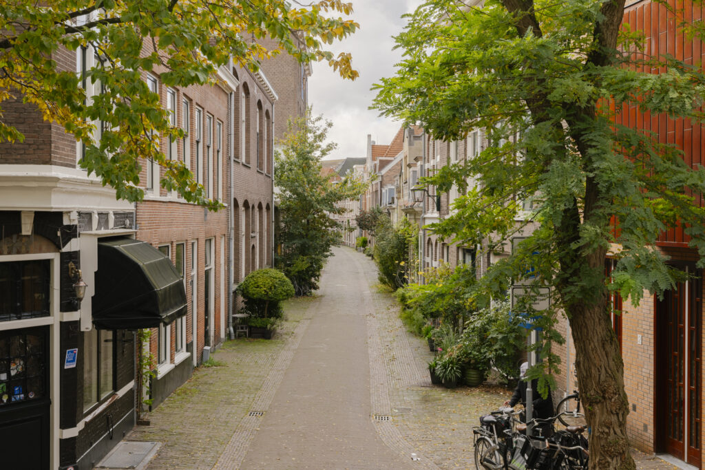 Picturesque cobblestone street with autumn trees