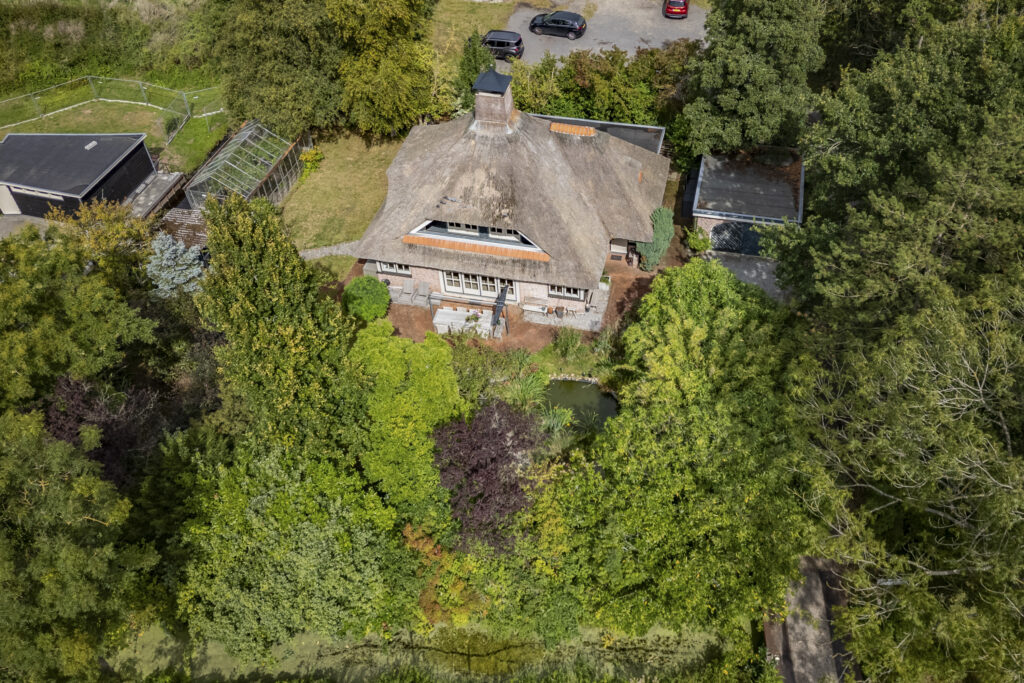Aerial view of house surrounded by lush greenery.