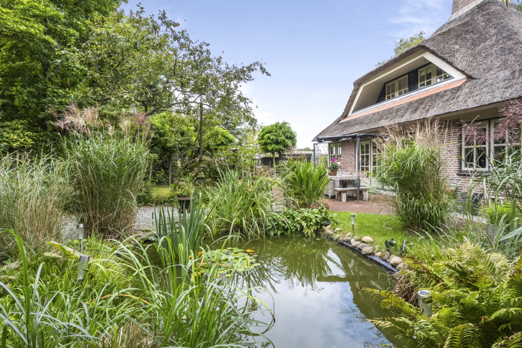 Charming cottage with lush garden and tranquil pond.