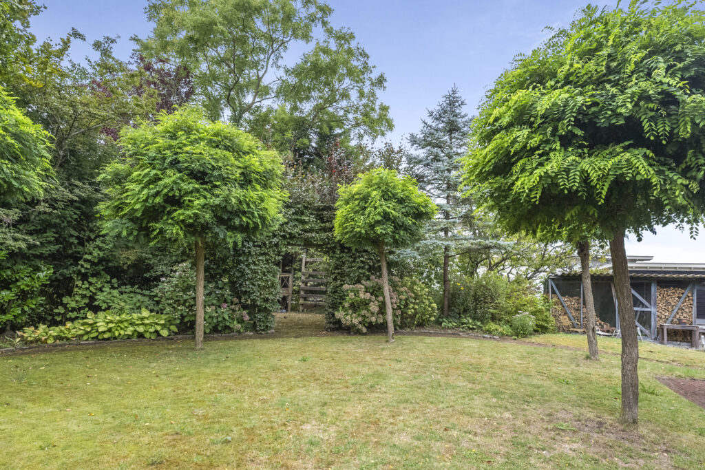 Lush garden with trees and greenery