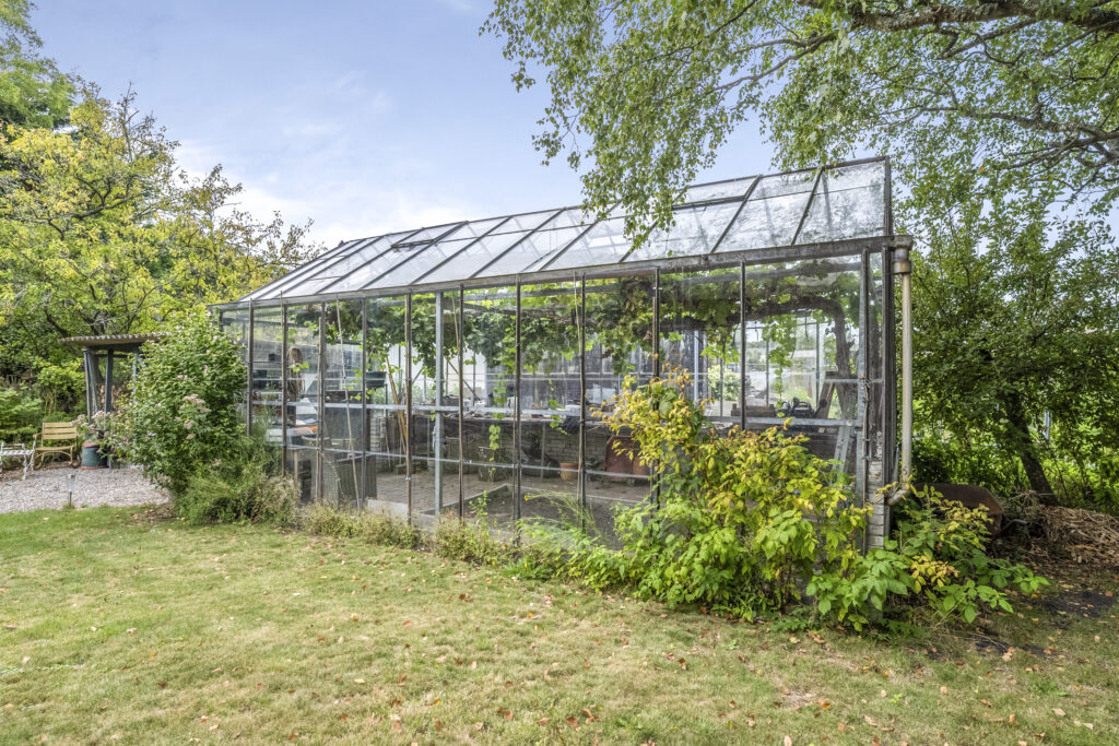 Glass greenhouse in lush garden setting