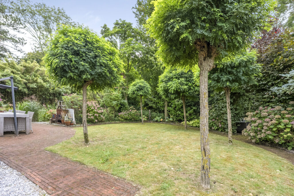 Lush green garden with trees and patio chairs.