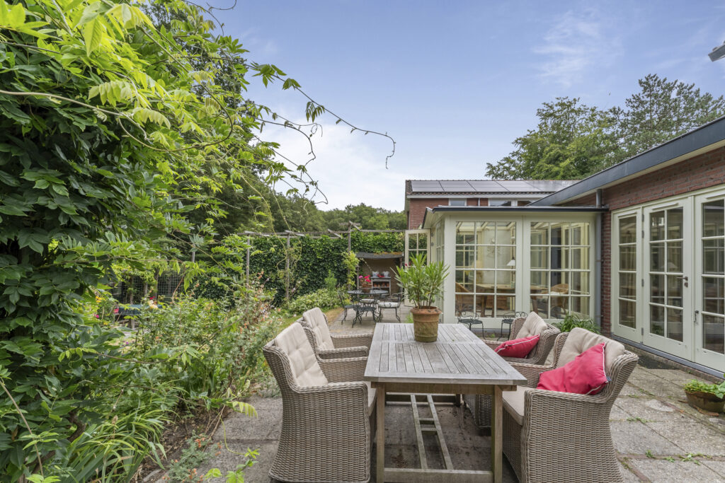 Cozy garden patio with chairs and plants