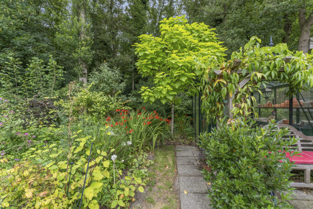 Lush green garden with vibrant flowers and trees.