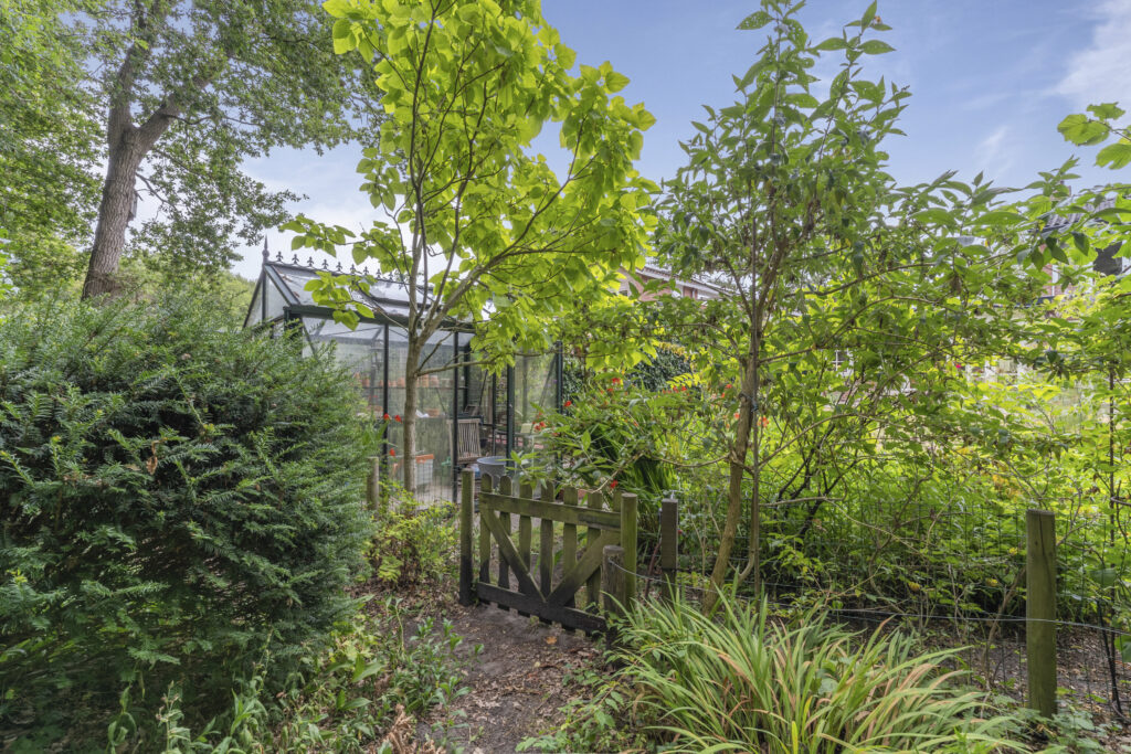 Lush garden with greenhouse and wooden gate.