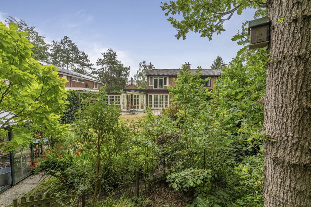 Backyard view with garden and house