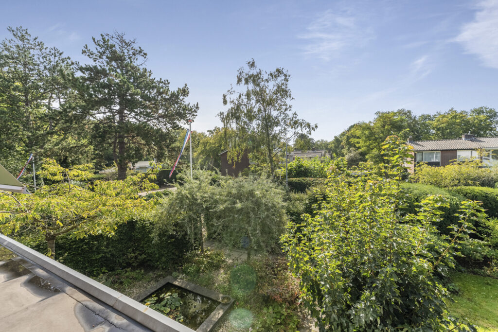 Backyard garden with trees and small pond