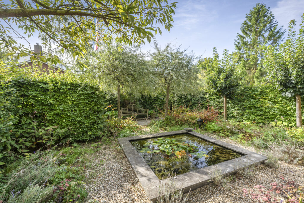Tranquil garden with pond and lush greenery.