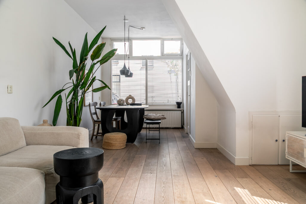 Modern living room with dining area and plants.