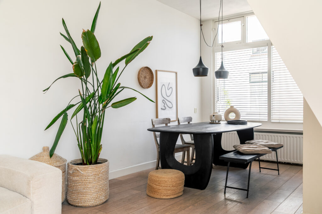 Modern dining room with plants and black table.