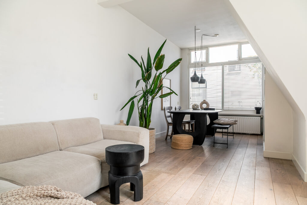 Modern living room with plants and wooden furniture