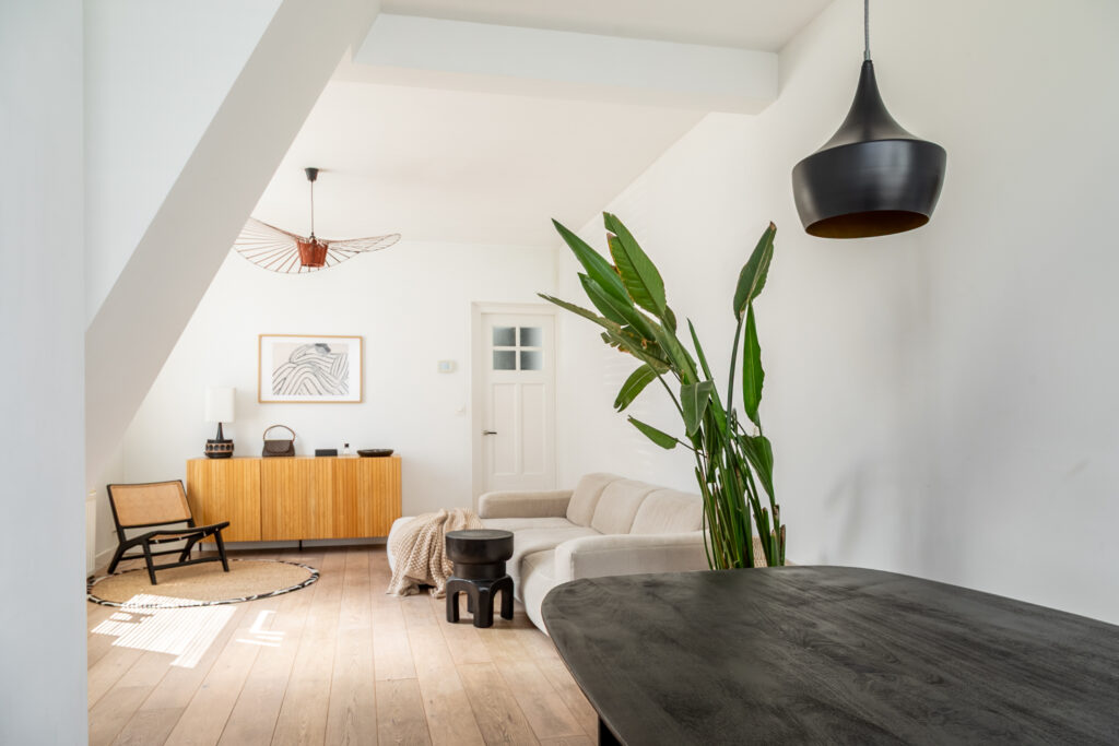 Modern living room with plants and natural light.
