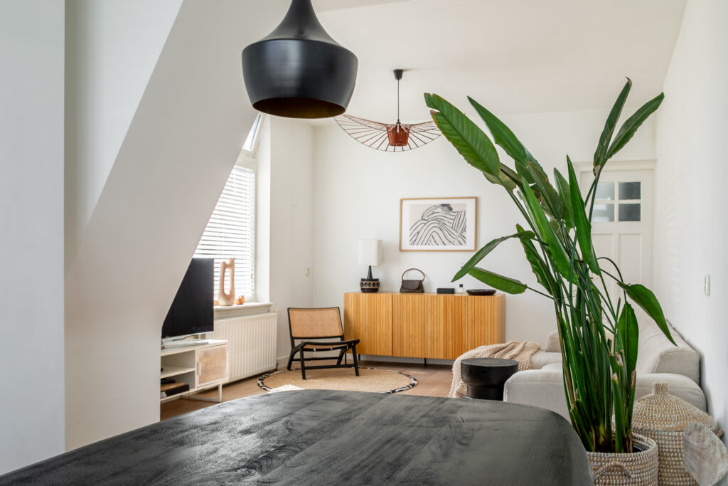 Modern living room with plant and minimalist decor.