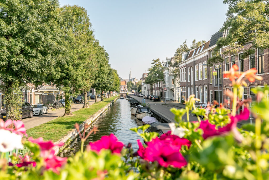 Canal with trees, flowers, and buildings on a sunny day.